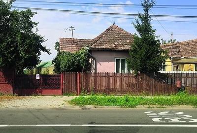 Teren de 12000 mp, în Ierbuș - 7