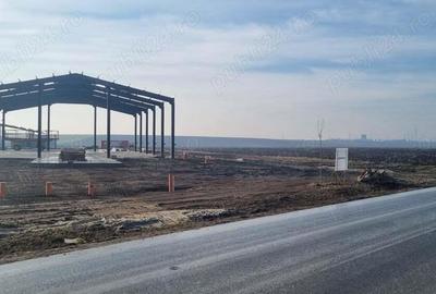 Vanzare Teren intravilan 10000mp Balaceanca - 16