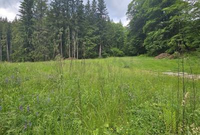 REL4001144 Teren de vanzare in Valea Doftanei - 3