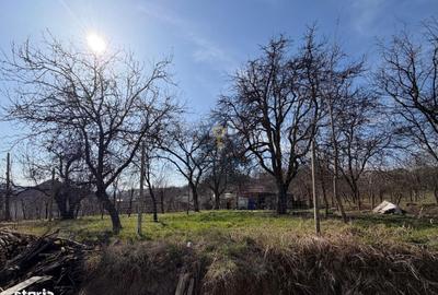 Spațiu comercial, în Iadăra - 3