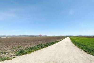 Teren Industrial - 3