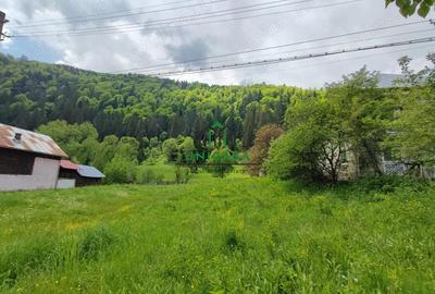 Teren de 5500 mp, în Voineasa