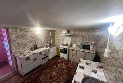 Casă cu 4 camere cu Teren 2000 Mp în Rovine - 11