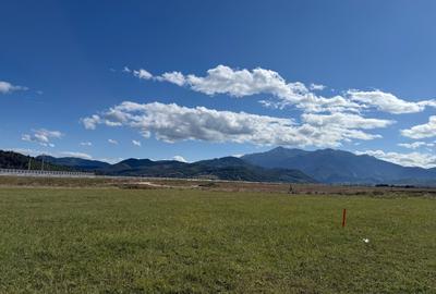 Teren intravilan  Rasnov, loturi de  500 mp - 5