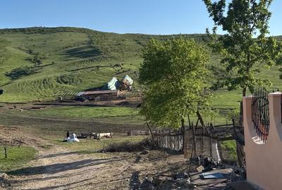 Casă cu 4 camere în Boian - 8