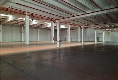 Spatiu Industrial - 2300 mp - Productie - Depozitare - 3