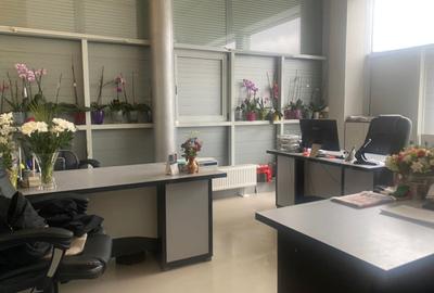 HALA PRODUCTIE + TEREN CALEA BUCURESTI - 7