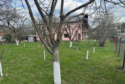 Casă cu 4 camere în Gura Beliei - 6