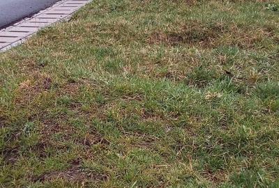 Teren de 1213 mp, în Exterior Vest - 4