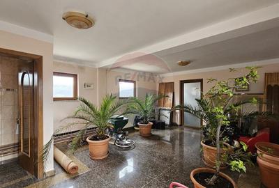 Casă cu 6 camere cu Teren 10331 Mp în Sohodol - 21