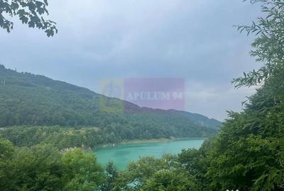 Teren în Valea Doftanei - 9