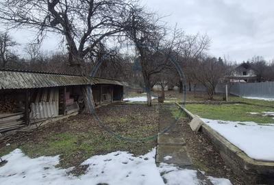 Casă cu 4 camere cu Teren 3800 Mp în Prundu Bârgăului - 6