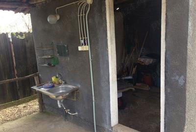 Casă cu 2 camere cu Teren 2536 Mp în Poienarii-Rali - 8