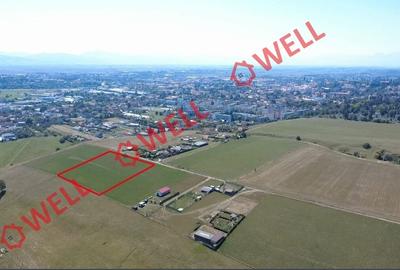 De vânzare teren extravilan în Sfântu Gheorghe pe „Dealul Bunica”! - 3