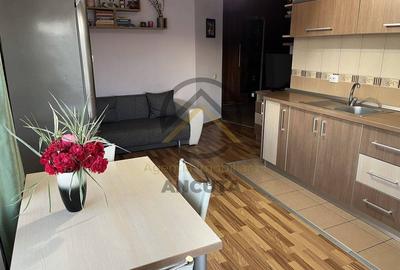 Apartament cu 2 camere semidecomandat în Tăuți - 7