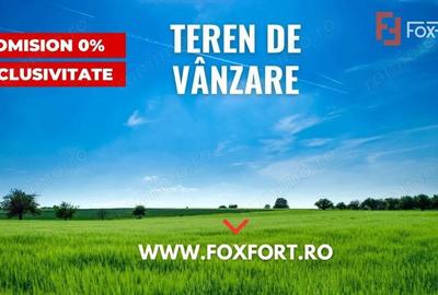 COMISION 0% Teren de 15000 mp cu 2 fronturi, zona Mosnita Veche - 1