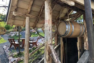 Casă cu 6 camere cu Teren 3900 Mp în Mediaș - 1