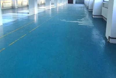 Hală modernă multifuncțională – 1.300 mp –Bucium, Iași- DE ÎNCHIRIAT - 15