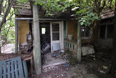 Casa 75 mp +teren 1.246 mp str.Faurilor, nr.63 ARAD - 24