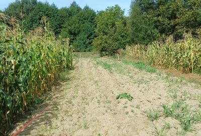 Teren agricol sat.Voroveni - 8