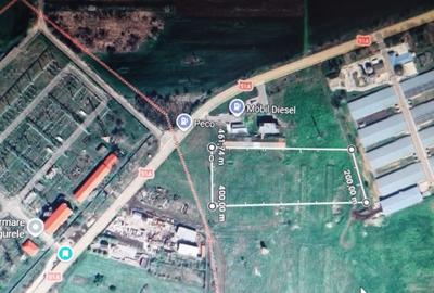 Teren Construcții intravilan de 10000 mp, în Nord-Est - 2