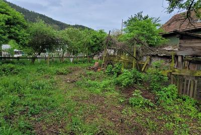 Vanzare Casa in Zlatna Centru - 7