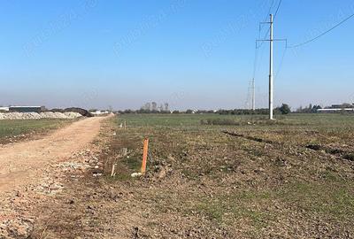 Teren de 9500 mp, în Sud