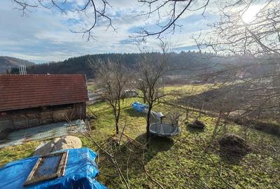 Casă cu 2 camere cu Teren 3600 Mp în Bejan - 7