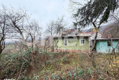 Casă cu 3 camere cu Canalizare în Central - 11
