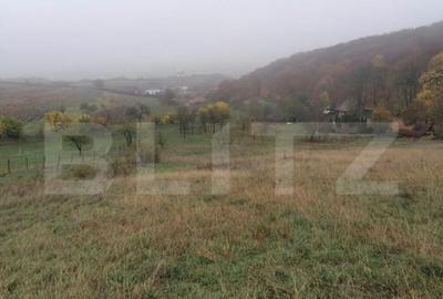 Teren de 1808 mp utilitati apa, gaz, curent in apropiere, zo - 1