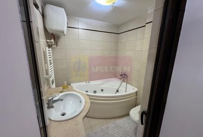 Vanzare apartament de 3 camere in zona Unirii-Goga - 6