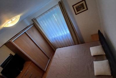 Apartament cu 2 camere decomandat, mobilat în Nufărul - 3