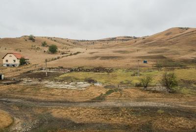 Teren extravilan de 1540000 mp, în Stejeriș - 1