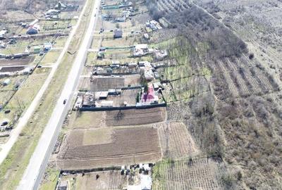 Teren Construcții intravilan de 5313 mp, în Odaia Manolache - 5