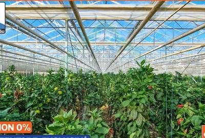 Sere: 10.640mp | Hala: 830mp | Teren 42.000mp | Lehliu-Gara Sere: 10.640mp | Hala: 830mp | Teren 42.000mp | Lehliu-Gara - 5