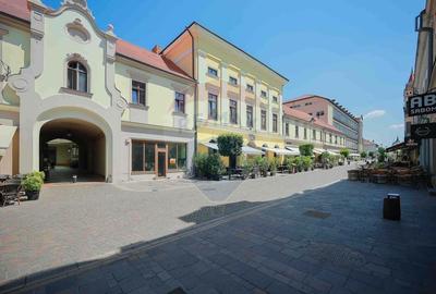 De vanzare -- Spatiu comercial parter 409 mp, Vasile Alecsandri - 32