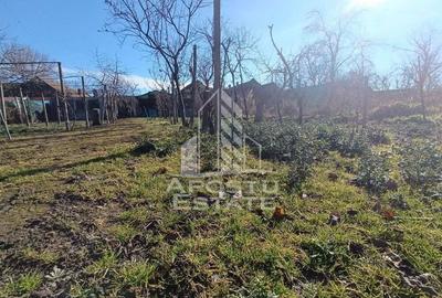 Casa individuala cu teren generos 2158mp, front 12m, livada, Freidorf - 2