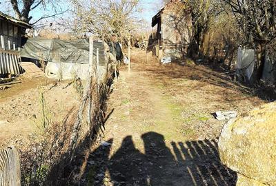 Casă cu Teren 4500 Mp în Izvoru (Gogoșari) - 1