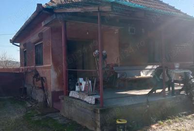 Casă cu 2 camere cu Teren 1180 Mp în Săvârșin - 5