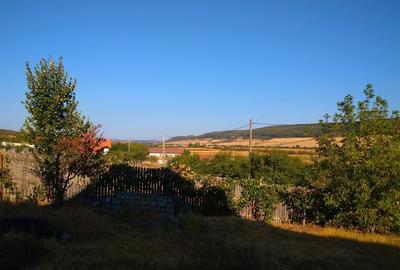 Casă cu 5 camere cu Teren 3500 Mp în Central - 1