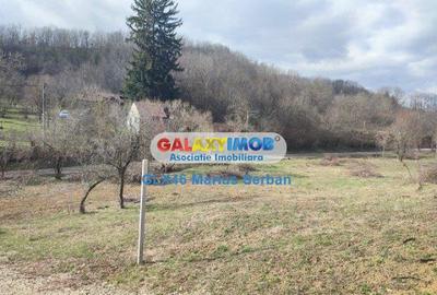 Teren Construcții intravilan de 2248 mp, în Răzvad - 7