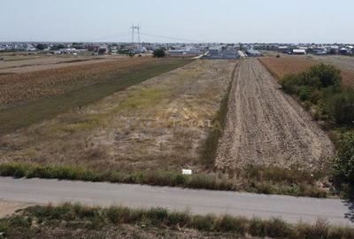 Teren intravilan in RATE la intrare in comuna Berceni Teren intravilan in RATE la intrare in comuna Berceni - 2