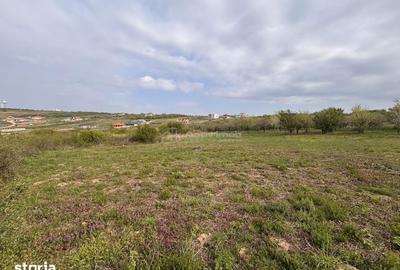 Teren de 793 mp, în Paleu - 3