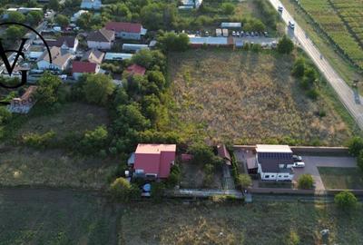 Teren intravilan -2679 mp-Branesti / Islaz - 7