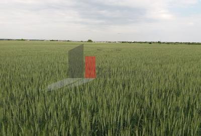 Buftea Teren cu iesire la lac - 8
