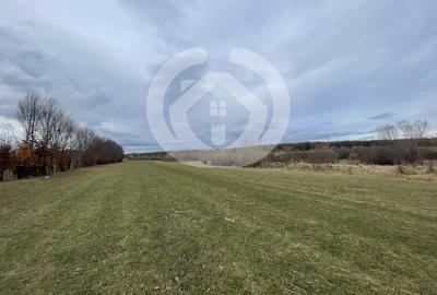 Teren Construcții intravilan de 4400 mp, în Arhitecților - Calea Cisnădiei - 3
