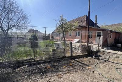 Casă cu 3 camere cu Teren 1263 Mp în Ogra - 8