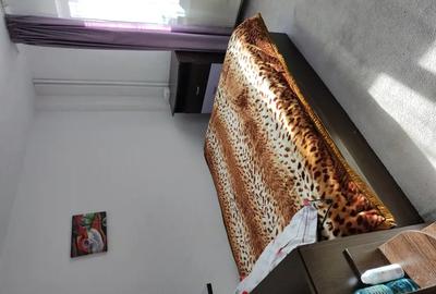 Apartament 2 camere decomandat, Str. Energiei 31 - 4
