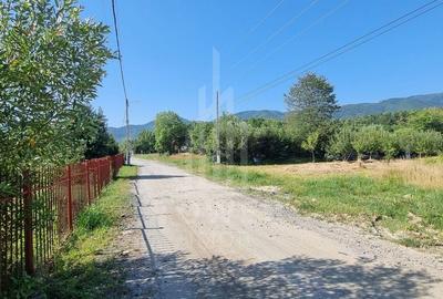 Teren INTRAVILAN - Tocile Satul de Vacanță - 3998 mp - 2