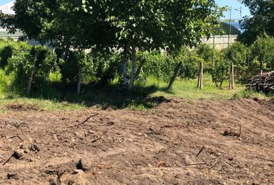 Spațiu comercial, în Huși - 1